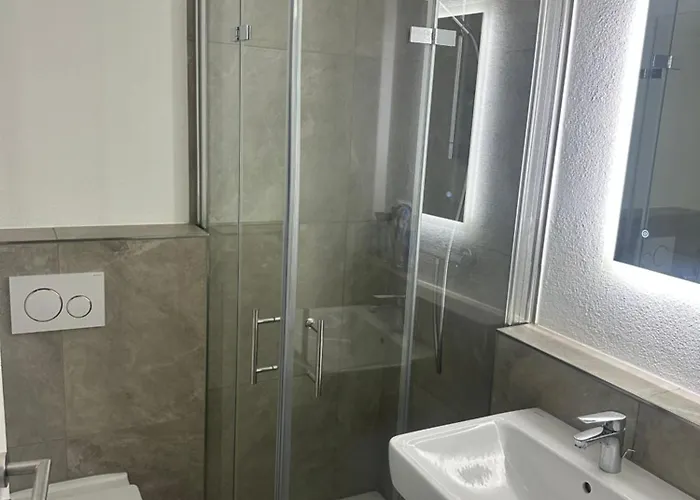 Apartment Sabrina Penthaus Mit Einem Schlafzimmer Kaiserslautern