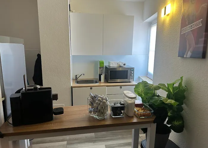 Sabrina Penthaus Mit Einem Schlafzimmer Kaiserslautern